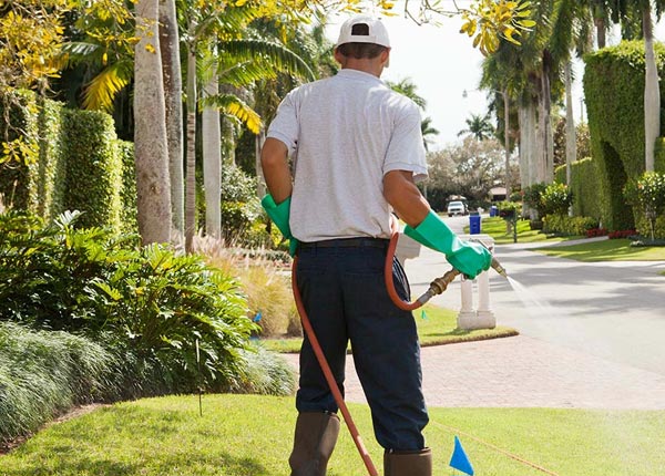 About Taunton MA Pest Control Pros